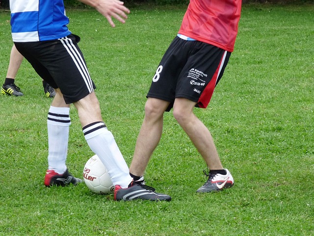 多克的天赋 多克的天赋