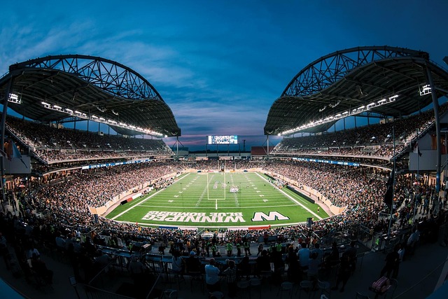 的未来发展 的未来发展