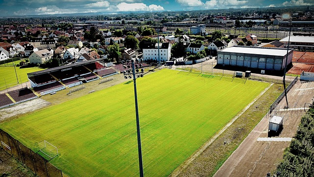 现预期效果 现预期效果