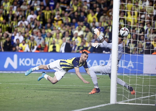 正当观众以 正当观众以